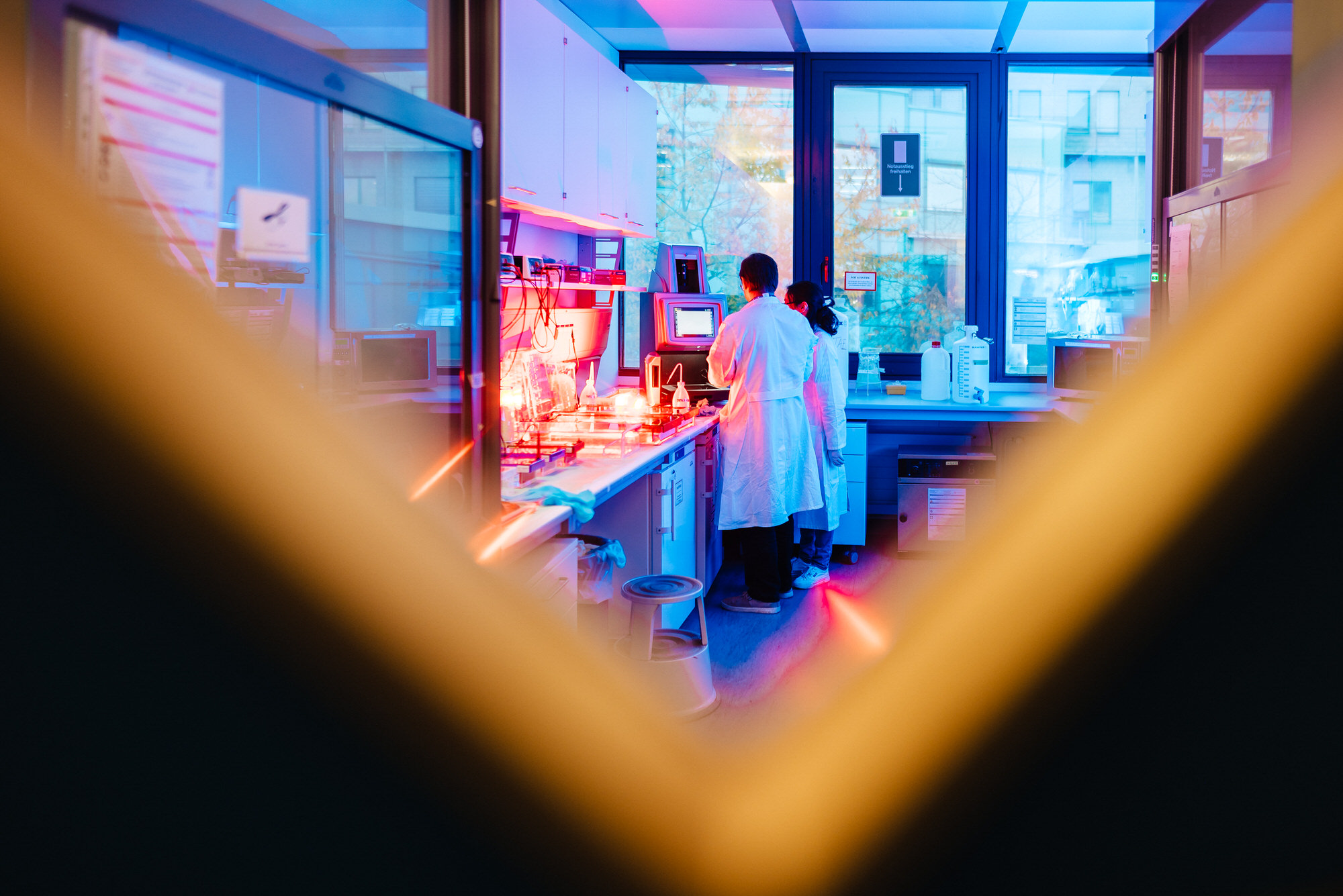 molecular genetics - Sciencefotos